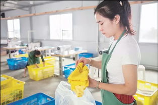 郊野小院里的日用雜品銷(xiāo)售夢(mèng)